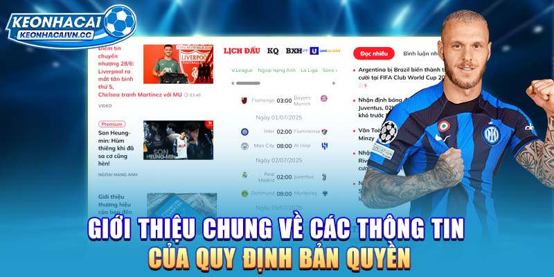 gioi-thieu-chung-ve-cac-thong-tin-cua-quy-dinh-ban-quyen