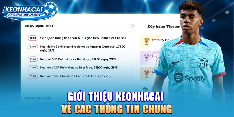 gioi-thieu-keonhacai-ve-cac-thong-tin-chung