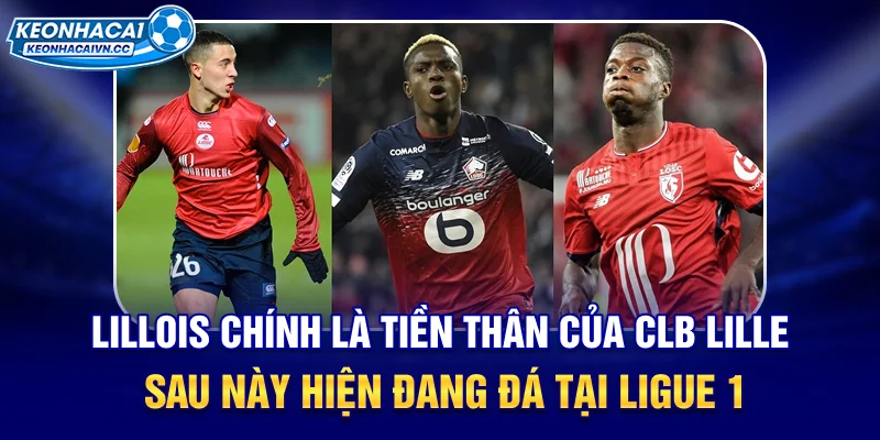 lillois-chinh-la-tien-than-cua-clb-lille-sau-nay-hien-dang-da-tai-ligue-1