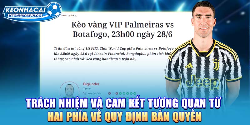 trach-nhiem-va-cam-ket-tuong-quan-tu-hai-phia-ve-quy-dinh-ban-quyen