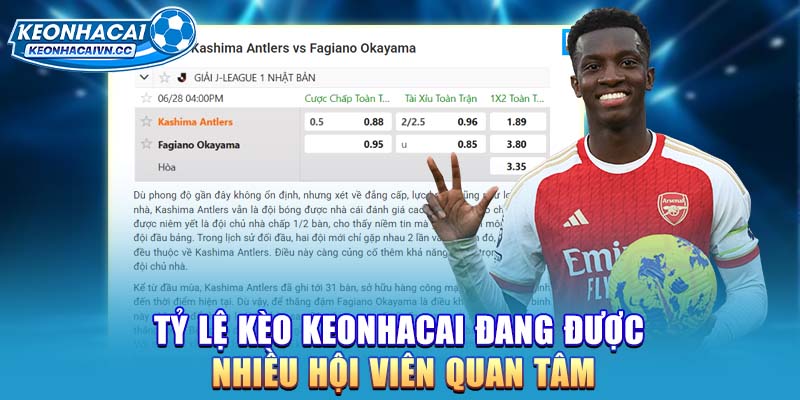 ty-le-keo-keonhacai-dang-duoc-nhieu-hoi-vien-quan-tam